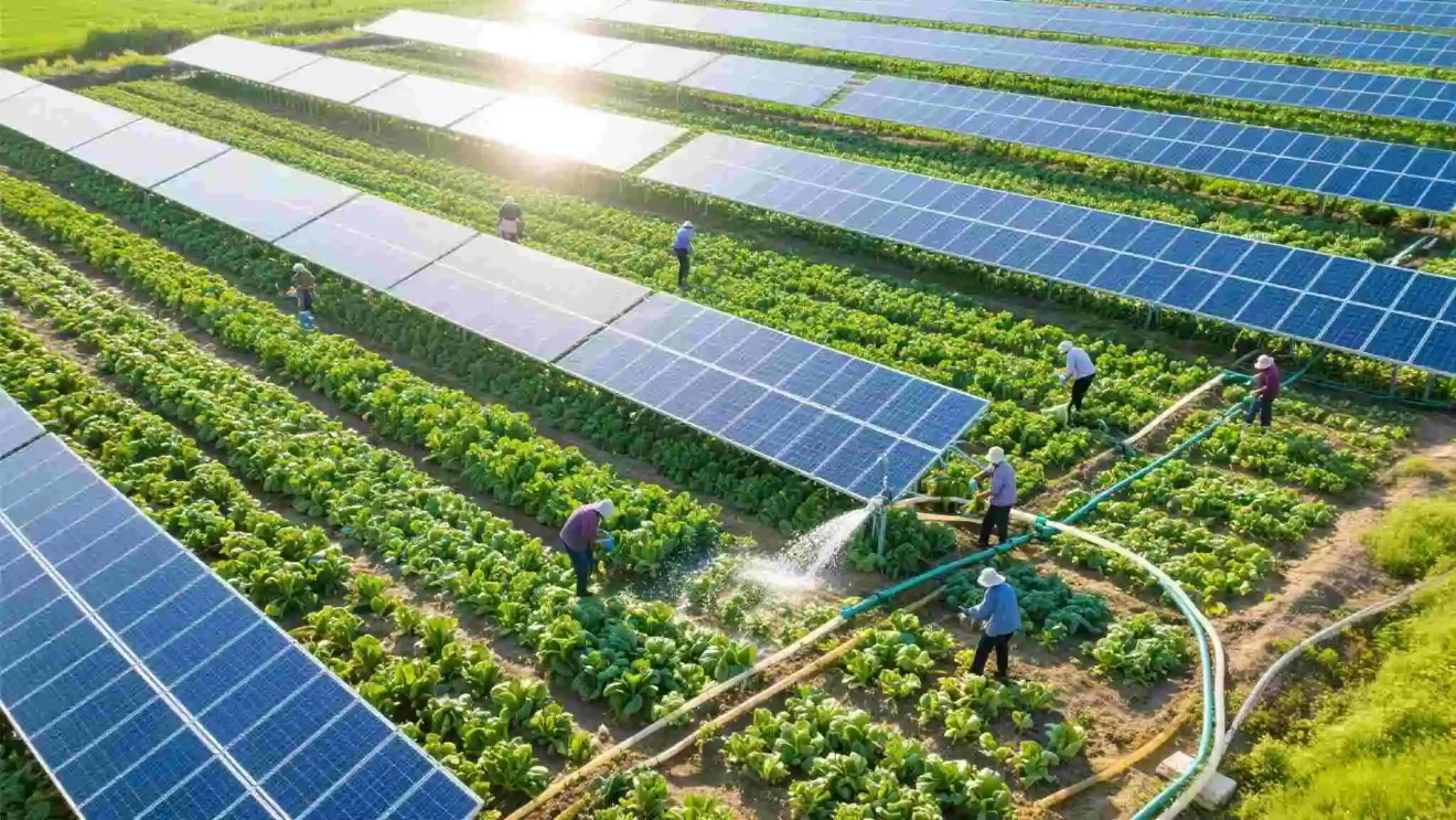 Breaking-Through-1-TW—Is-China’s-Photovoltaic-Industry-Poised-to-Dominate-Global-Energy-2