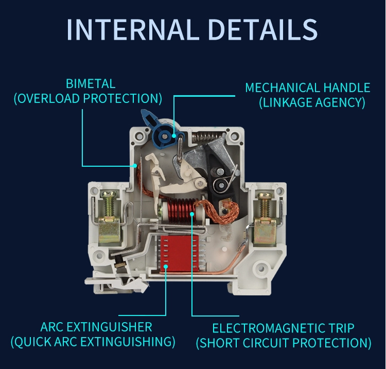 DPN-2-in-1-Pole-MCB-5-Details
